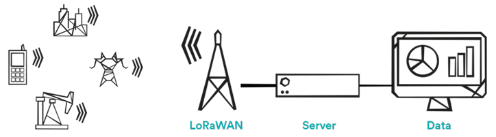 Centered Full Width Image